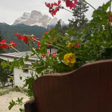 Horská chata Ampio Nel Bosco 3 Camere, 3 Bagni, Relax Vicino Cortina Borca di Cadore