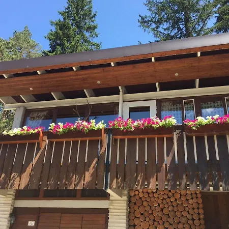Ampio Nel Bosco 3 Camere, 3 Bagni, Relax Vicino Cortina Borca di Cadore
