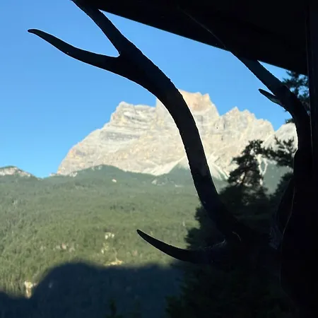 Ampio Nel Bosco 3 Camere, 3 Bagni, Relax Vicino Cortina