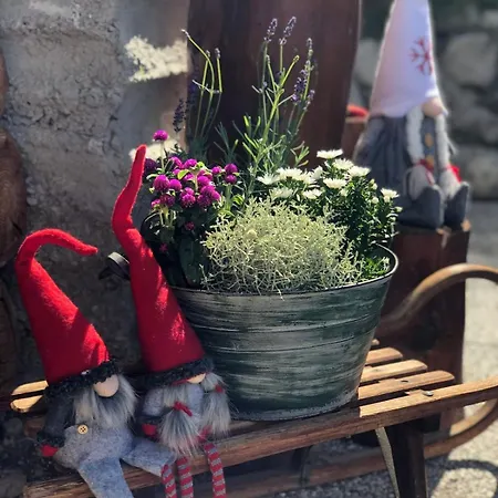 Horská chata Ampio Nel Bosco 3 Camere, 3 Bagni, Relax Vicino Cortina